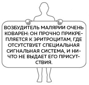Иллюстрация к книге — Иммунитет. Как у тебя дела? [i_005.jpg]