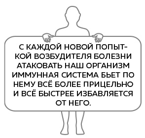 Иллюстрация к книге — Иммунитет. Как у тебя дела? [i_009.jpg]