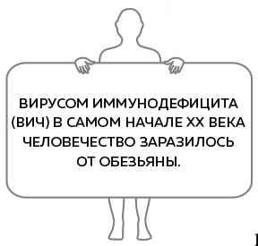 Иллюстрация к книге — Иммунитет. Как у тебя дела? [i_012.jpg]