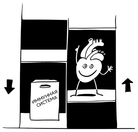 Иллюстрация к книге — Иммунитет. Как у тебя дела? [i_020.jpg]