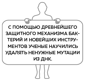 Иллюстрация к книге — Иммунитет. Как у тебя дела? [i_040.jpg]