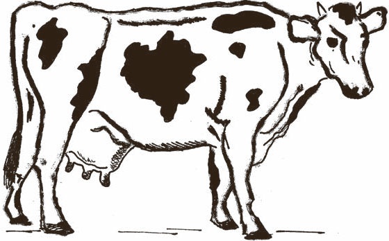 Иллюстрация к книге — Шенна [i_003.jpg]