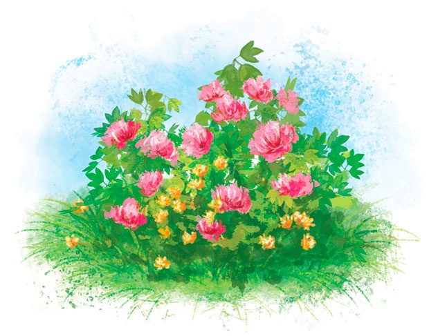 Иллюстрация к книге — Чудесный камень Маюрми [i_020.jpg]