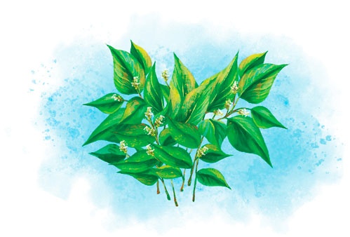 Иллюстрация к книге — Чудесный камень Маюрми [i_022.jpg]