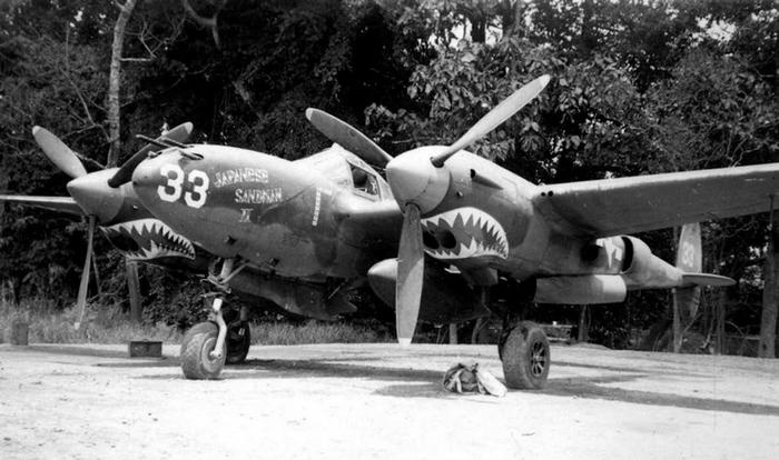 Иллюстрация к книге — Истребитель-«молния» P-38 «Лайтнинг» [i_055.jpg]