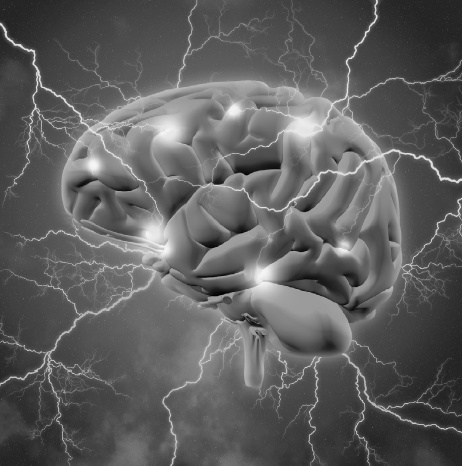 Иллюстрация к книге — Мозг: прошлое и будущее [i_001.jpg]