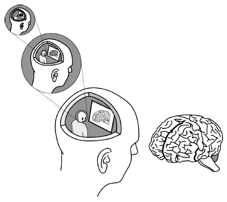 Иллюстрация к книге — Мозг: прошлое и будущее [i_010.jpg]