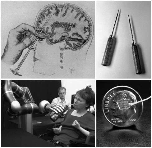 Иллюстрация к книге — Мозг: прошлое и будущее [i_015.jpg]