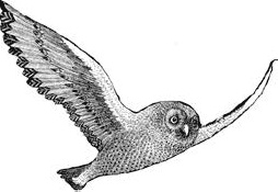 Иллюстрация к книге — Книга как лекарство для детей [_27.jpg]