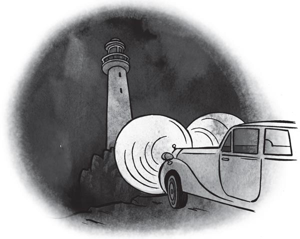 Иллюстрация к книге — Средство от бессонницы [i_015.jpg]