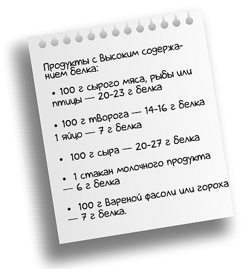 Иллюстрация к книге — Здоровье без фанатизма: 36 часов в сутках [i_002.jpg]