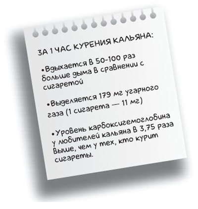 Иллюстрация к книге — Здоровье без фанатизма: 36 часов в сутках [i_034.jpg]