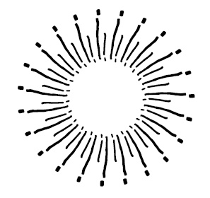 Иллюстрация к книге — Потомки солнца. Признание Сичжина [i_004.jpg]