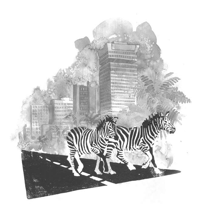 Иллюстрация к книге — Снег на экваторе [i_001.jpg]