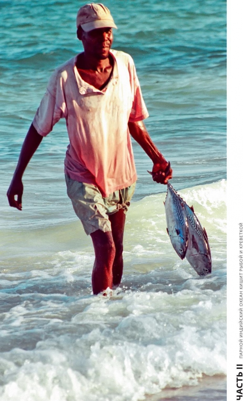 Иллюстрация к книге — Снег на экваторе [i_011.jpg]