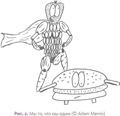 Иллюстрация к книге — Как приучить ребенка к здоровой еде: Кулинарное руководство для заботливых родителей [i_004.jpg]