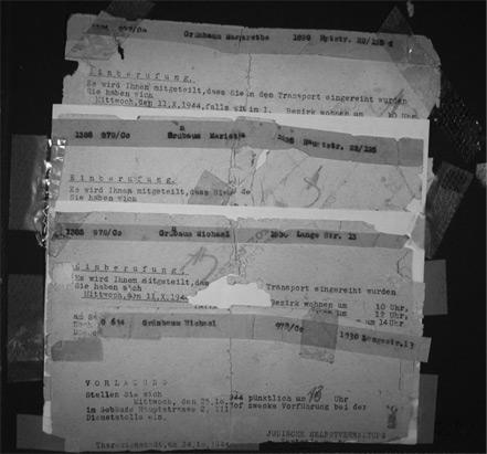 Иллюстрация к книге — Где-то в мире есть солнце. Свидетельство о Холокосте [i_028.jpg]