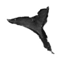 Иллюстрация к книге — Мальчик, который воспитывал драконов [i_010.jpg]