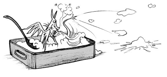 Иллюстрация к книге — Мальчик, который воспитывал драконов [i_014.jpg]