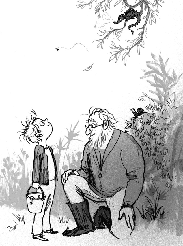 Иллюстрация к книге — Мальчик, который воспитывал драконов [i_021.jpg]