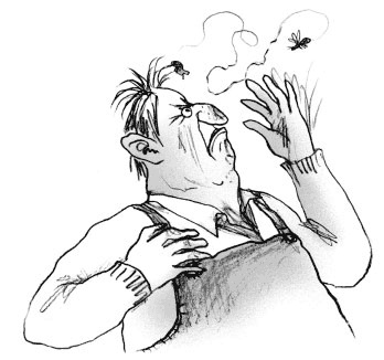 Иллюстрация к книге — Мальчик, который воспитывал драконов [i_025.jpg]