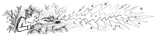 Иллюстрация к книге — Мальчик, который воспитывал драконов [i_033.jpg]