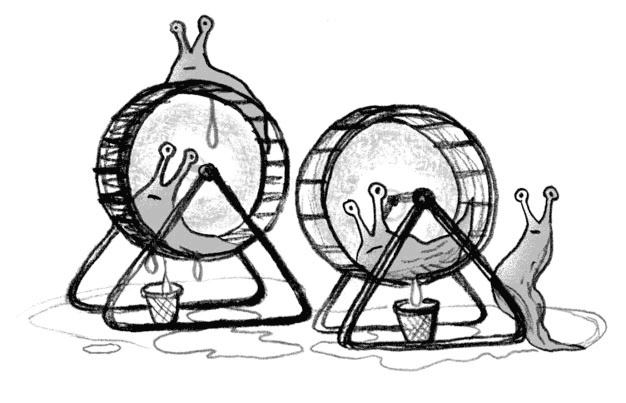 Иллюстрация к книге — Мальчик, который воспитывал драконов [i_034.jpg]