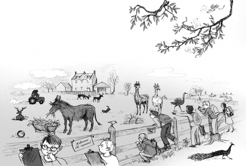 Иллюстрация к книге — Мальчик, который воспитывал драконов [i_037.jpg]