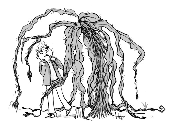 Иллюстрация к книге — Мальчик, который воспитывал драконов [i_053.jpg]