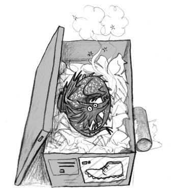 Иллюстрация к книге — Мальчик, который выращивал драконов [i_035.jpg]