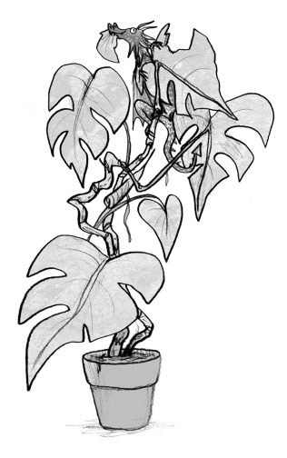 Иллюстрация к книге — Мальчик, который выращивал драконов [i_036.jpg]