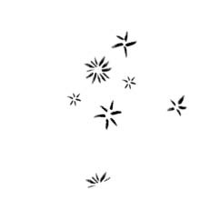 Иллюстрация к книге — Мальчик, который выращивал драконов [i_042.jpg]