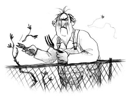 Иллюстрация к книге — Мальчик, который выращивал драконов [i_043.jpg]