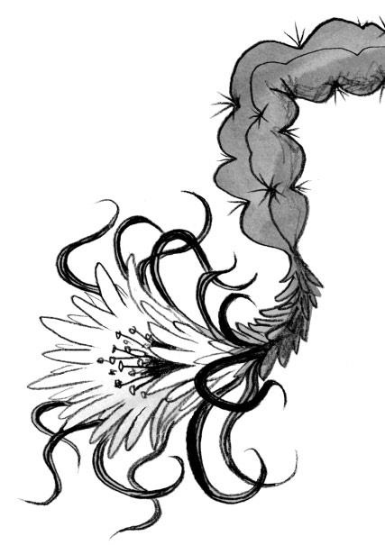 Иллюстрация к книге — Мальчик, который выращивал драконов [i_074.jpg]