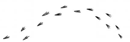 Иллюстрация к книге — Мальчик, который выращивал драконов [i_081.jpg]