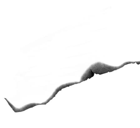 Иллюстрация к книге — Мальчик, который выращивал драконов [i_084.jpg]