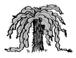 Иллюстрация к книге — Мальчик, который выращивал драконов [i_109.jpg]