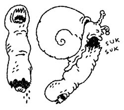 Иллюстрация к книге — Истребители зомби [i_098.jpg]