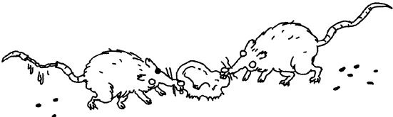 Иллюстрация к книге — Истребители зомби. От винта! [i_033.jpg]