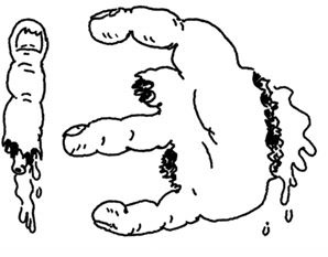 Иллюстрация к книге — Истребители зомби. От винта! [i_065.jpg]