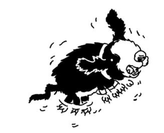 Иллюстрация к книге — Истребители зомби. От винта! [i_070.jpg]