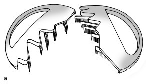 Иллюстрация к книге — Красота и здоровье: Большая энциклопедия [autogen_ebook_id166.jpg]