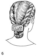 Иллюстрация к книге — Красота и здоровье: Большая энциклопедия [autogen_ebook_id194.jpg]