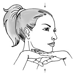 Иллюстрация к книге — Красота и здоровье: Большая энциклопедия [autogen_ebook_id39.jpg]