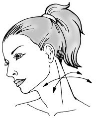 Иллюстрация к книге — Красота и здоровье: Большая энциклопедия [autogen_ebook_id40.jpg]