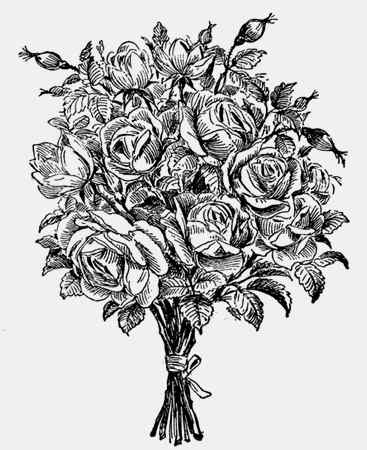 Иллюстрация к книге — Энциклопедия абсолютного и относительного знания [i_001.jpg]