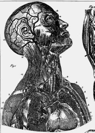 Иллюстрация к книге — Энциклопедия абсолютного и относительного знания [i_008.jpg]