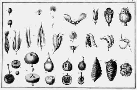 Иллюстрация к книге — Энциклопедия абсолютного и относительного знания [i_032.jpg]