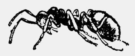 Иллюстрация к книге — Энциклопедия абсолютного и относительного знания [i_036.jpg]