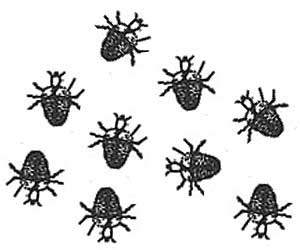 Иллюстрация к книге — Энциклопедия абсолютного и относительного знания [i_038.jpg]